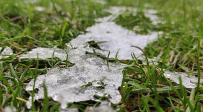 Snow melting on grass